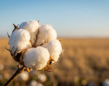 How the New US–Bangladesh Trade Deal Creates a Major Advantage for Apparel Buyer