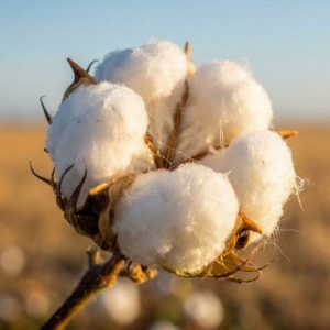 How the New US–Bangladesh Trade Deal Creates a Major Advantage for Apparel Buyers