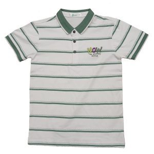 Striped Polo Shirt with Print & Patches for Youth and Adult ODM/OEM Green