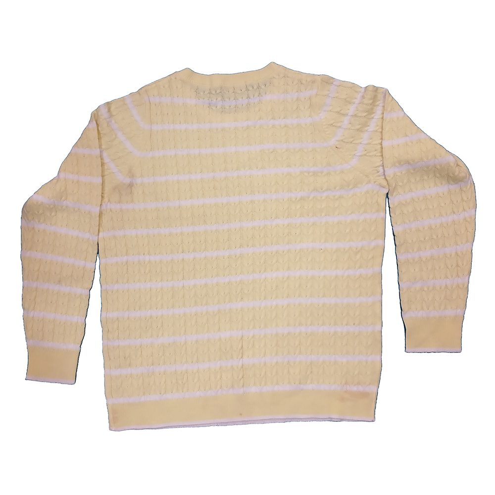 Wool Striped Crew Neck Knit Sweater Back