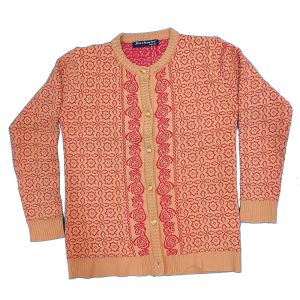 Women Winter Dress Long Sleeve Sweater Front